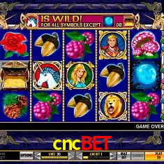 Descubra a Magia dos Jogos de Arcade no cncbet
